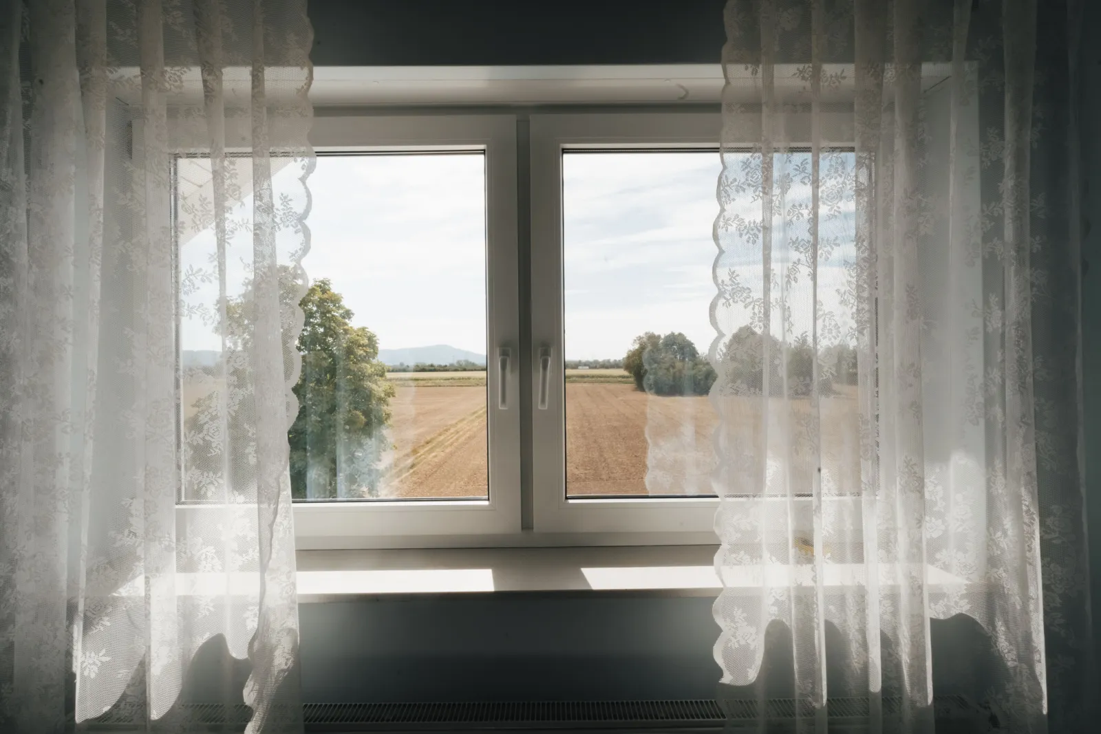 Ausblick